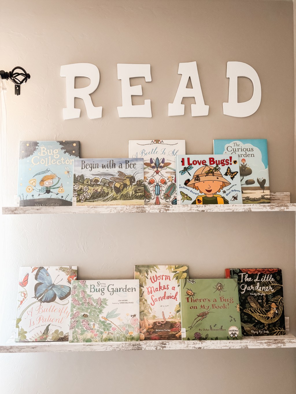 Bug-Themed Bookshelf